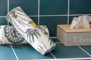 T2 avec jardin 1,2km de la plage - 9