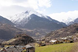 Verger Plein Soleil - 8