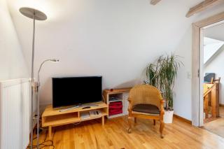 Öko Fewo Lachmöwe - 9