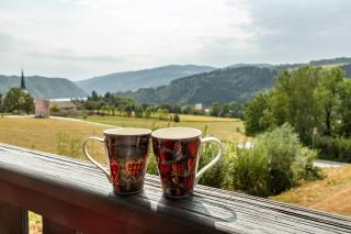 Auszeit am Fluss - Donau - 7