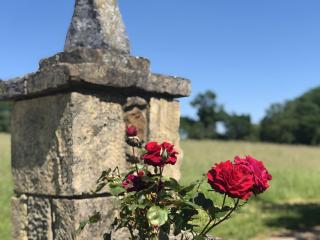 Le Mazet - Sainte-Croix - 9