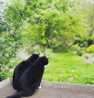 Ferienwohnung Fünf - 9