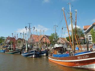 Nordsee Ferienwohnung Wattwurm - 9