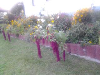 Ferienhaus Werner - 8