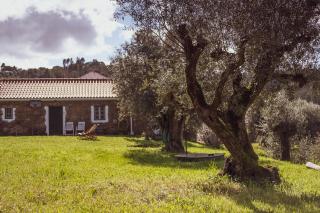 Vale do Espinheiro -  - 5