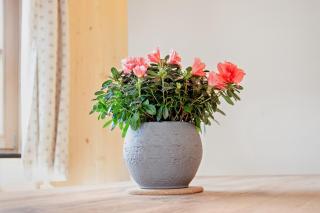 Ferienwohnung Uferweg - 3