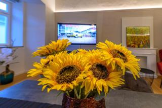 Gh Alte Post - Top 3 Manta - 4