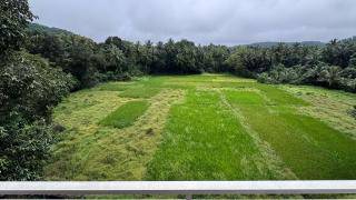 Bay Village Inn - Arambol - 1