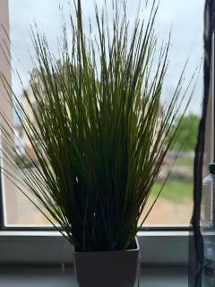 Appartement Neunkirchen City - 5