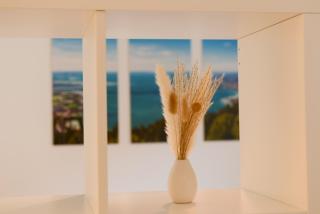 Ferienwohnung Malou - Tettnang - 5