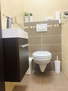 Local-Lux Apartman 3 szoba, privát parkoló - 1