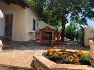 La Reguergue, vue sur l'Espinouse - 1