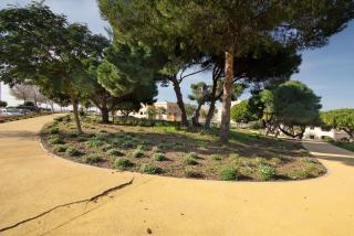 Lemons Apartment - 8