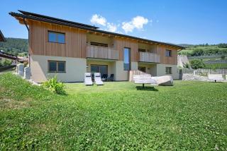 Teutenhofer Zwetschge - 6