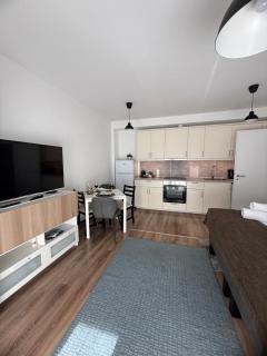 Rita Apartman privát parkolóval és erkéllyel - 1