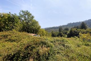 La Casina di Nella - 6