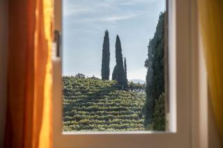 Ferienhaus Weingut Plonerhof - 8