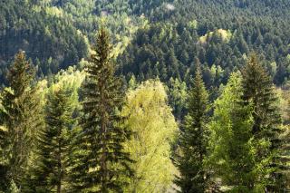 Alta Valle Maira C - 7