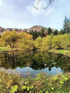 Il Bosco di Silvia - 1