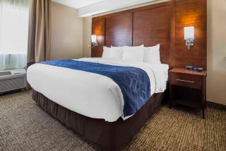 Comfort Suites El Paso Airport - 4