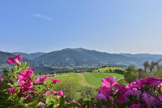 Apartment Dolomitenblick - 9