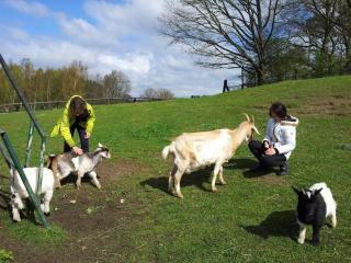 Ferienbauernhof - Ferienwohnung 5 - 7