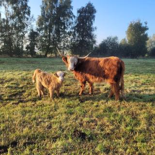 Heidehof Kuppendorf - 7