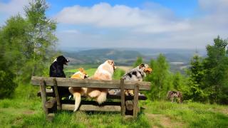 Ferienwohnungen Dorfliebe Dörnberg - Bestwig - 8