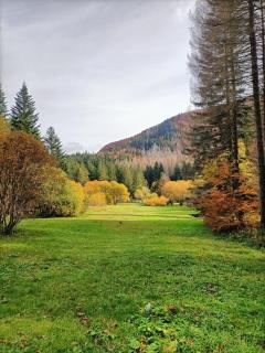 Il Bosco di Silvia - 2