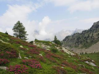 Gite de charme 3 étoiles - 6