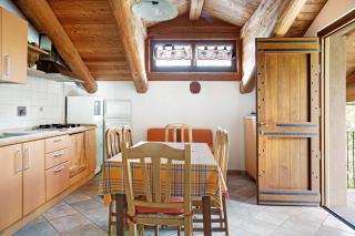 Anemone Tano di Grich - 5