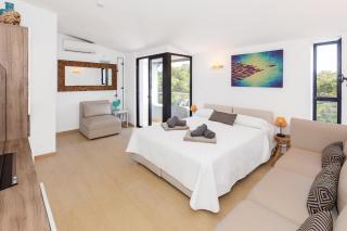 Precioso Atico Sa Perdiu - 5