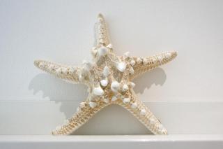 Ricky's Luxury Apartment - 5