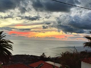 Las Golondrinas - B - 9