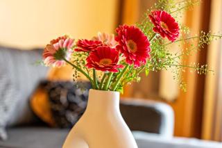 Haus Zum Rochusberg 2 - 9