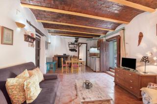 La Rana Verde de Abajo - 0