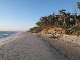 Fewo 33 - Halbinsel Darss - Ostsee - 9