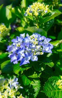 Ferienhaus Zissi - 6