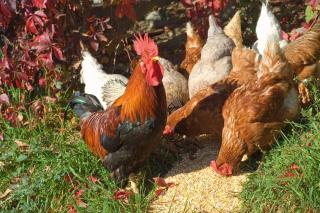 Huberhof App Gala - 6