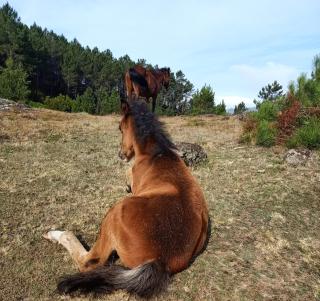 Retiro Da Montanha - Gerês - 6