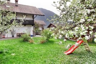 Gästehaus Marianne - Ferienwohnung - 7