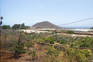 Las Tres Palmeras - 6