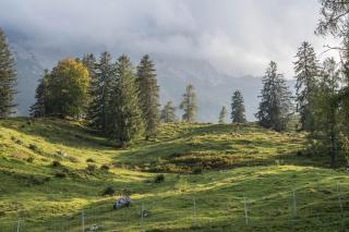 Ferienwohnung Karwendelblick - 9