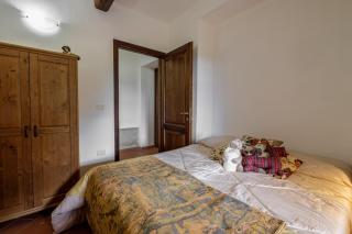 Ginepro Poderone - 5