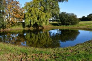 Landhaus Borcherding - 9