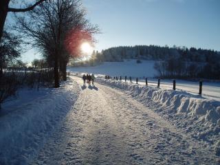 Ferienwohnung Auf Dem Schönen Felde - 8