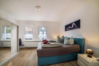 Im Harzer Vogelnest Spatzennest - 4