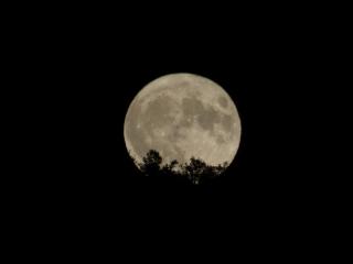 Casa Luna de La Viliella - 8