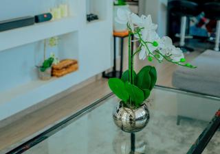 Ailys getaway located in Kigamboni - 3