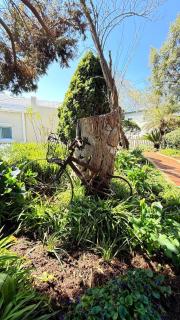 The Urban Elm Guesthouse - 8